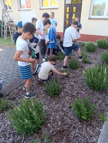 IMG_20260529_090443