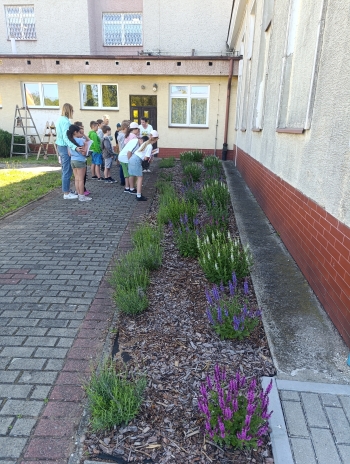 IMG_20260529_090136