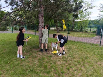 IMG_20260603_100701