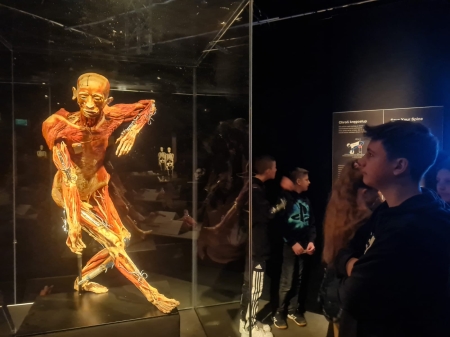 ''Cykl życia'' - wystawa Body Worlds w Katowicach