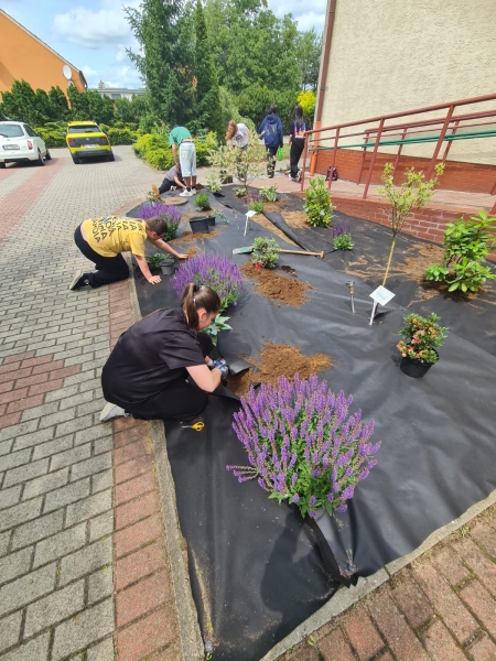  Ósmoklasiści tworzą rabaty i łąkę kwietną przed szkołą