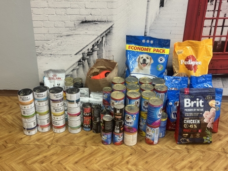 Dzień Kundelka - pomagamy naszym czworonożnym przyjaciołom!