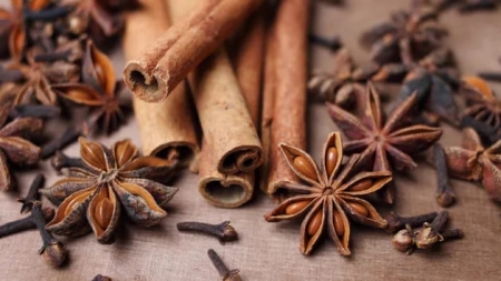 „Zmysłoczuła Biblioteka” projekt edukacyjny, która pobudza wyobraźnię i… wszyst...