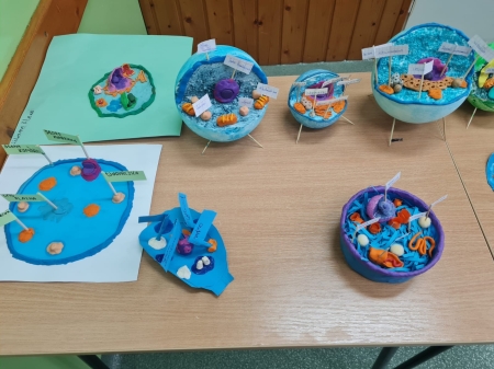 Komórki, komóreczki