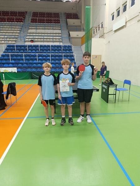 Tenis stołowy drużynowo