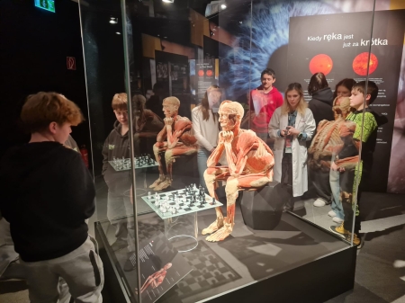 Anatomia bez tajemnic- wystawa Body Worlds
